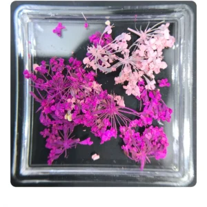 دیزاین گل خشک ناخن