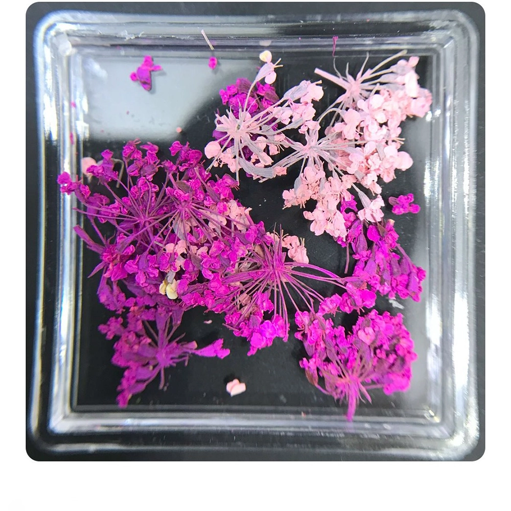 دیزاین گل خشک ناخن